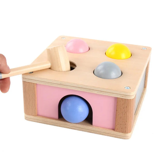 Wooden Pastel Punch and Drop Toy Set