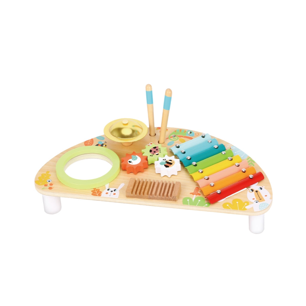 Tookyland Multifunction Music Center