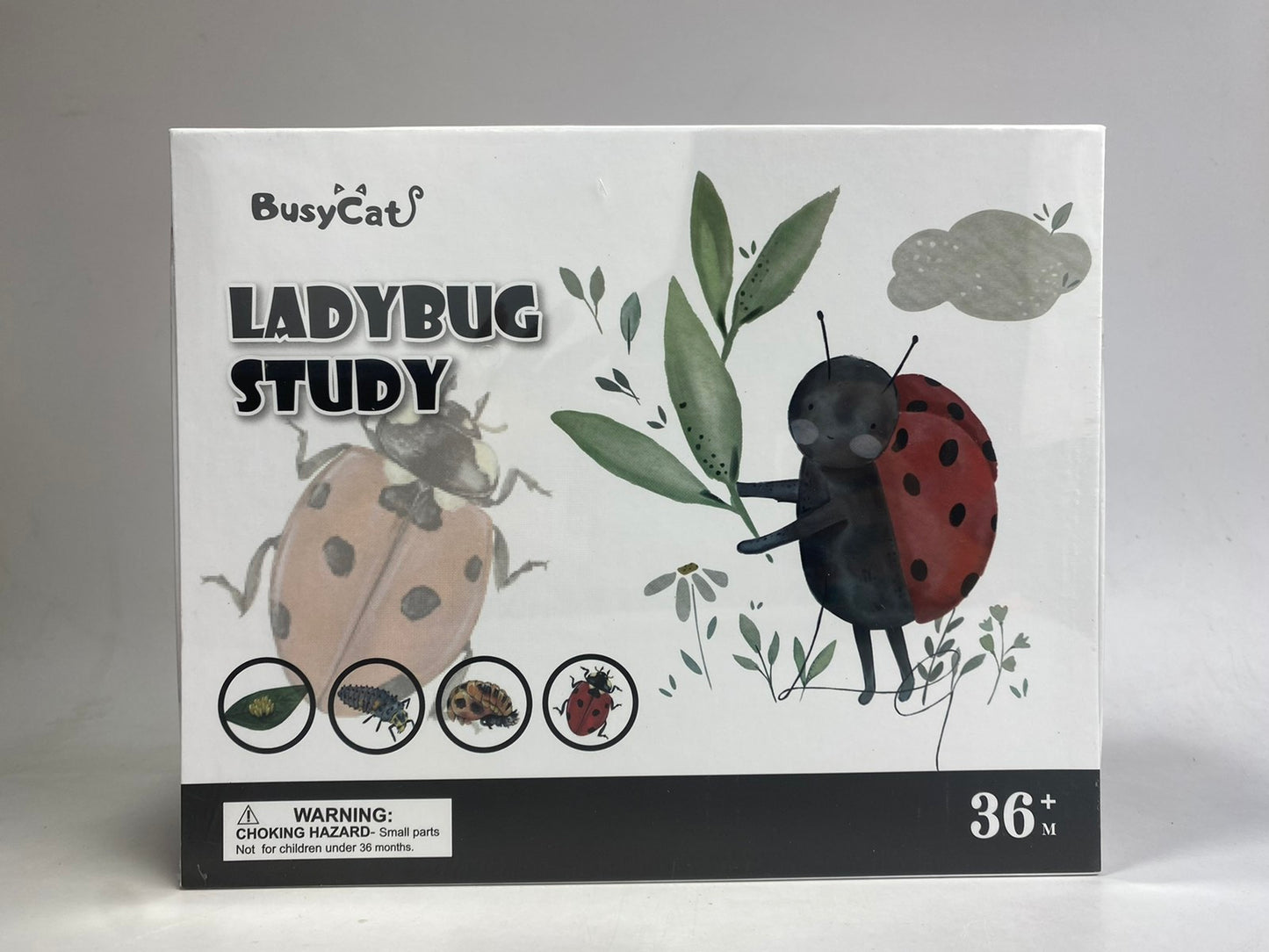 Wooden Lady Bug Study Number Counting Toy